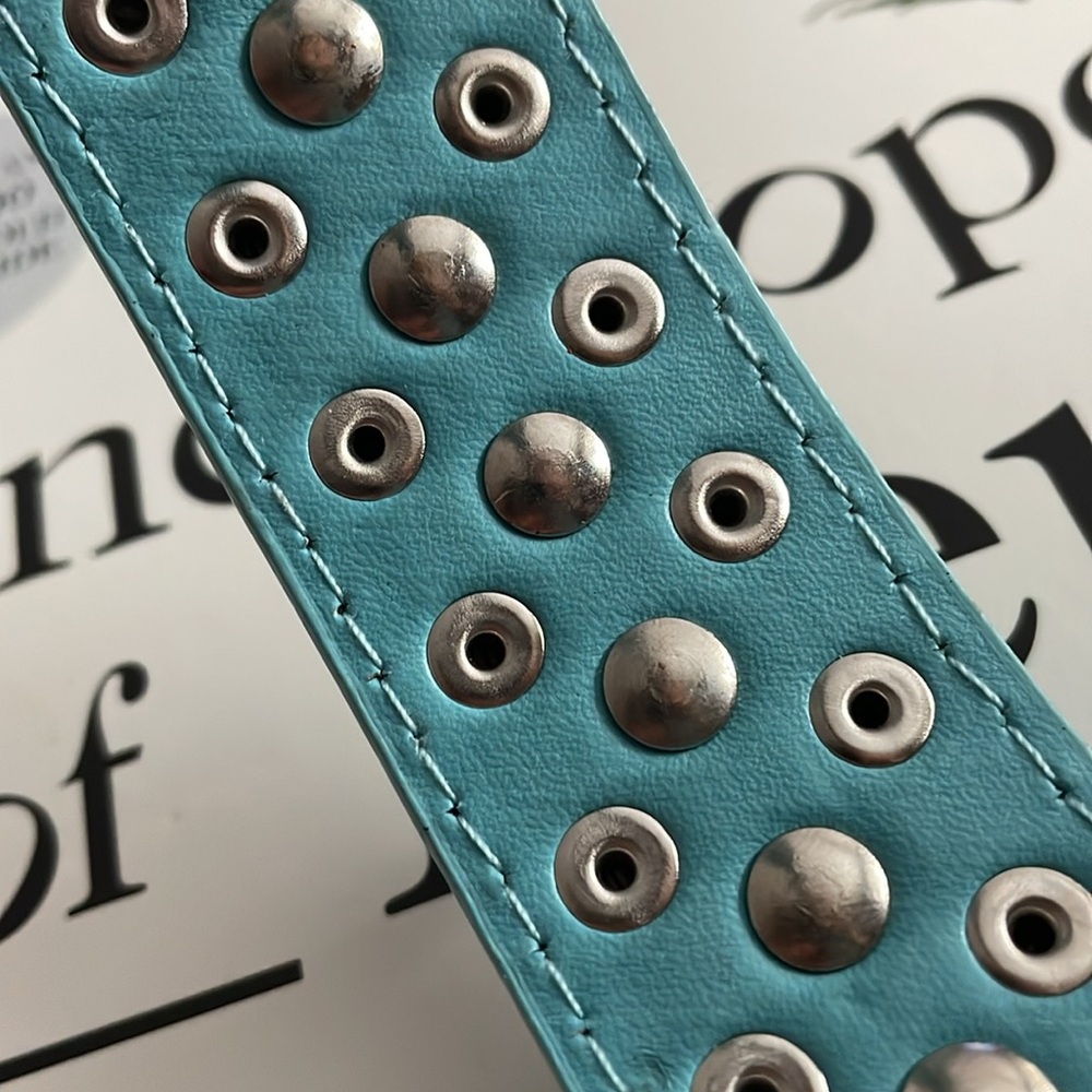 Light Blue Collar - Picture 4 of 5